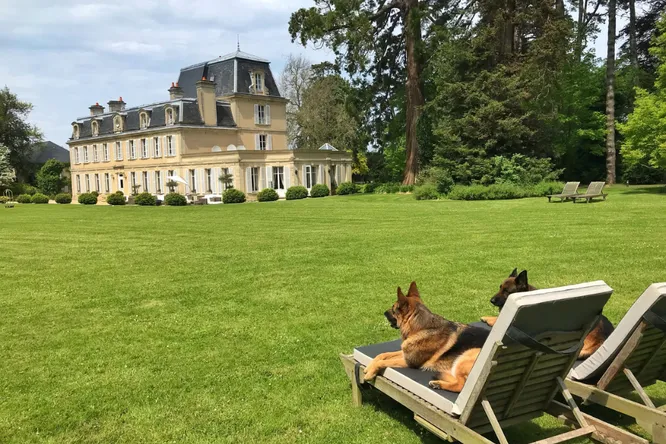 Voyager avec son chien : ces hôtels qui chouchoutent nos compagnons à quatre pattes