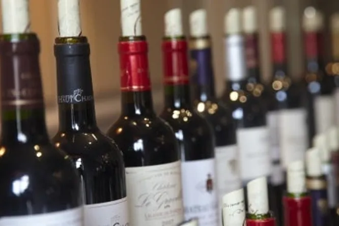 Autres appellations : primeurs 2016