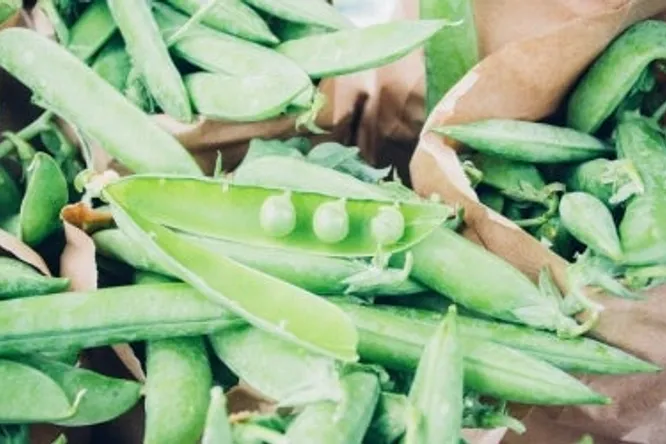 Pea and mint soup by chef Lionel Levy