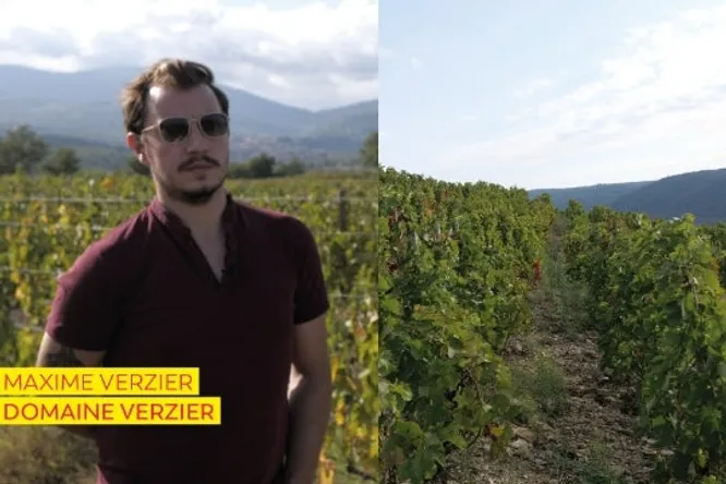 Coup de Jus : Domaine Verzier