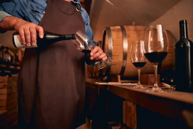 Micro-domaines: good wines with limited resources