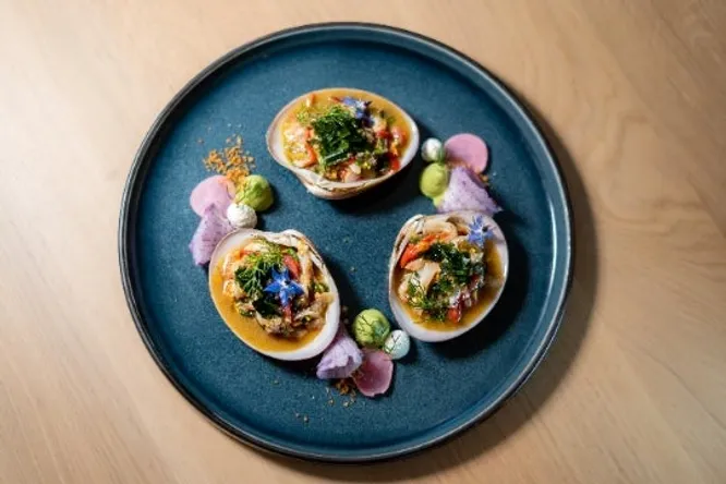Glénan fish ceviche with wakame & avocado cream