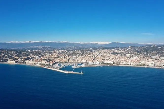 Top 5 in Cannes