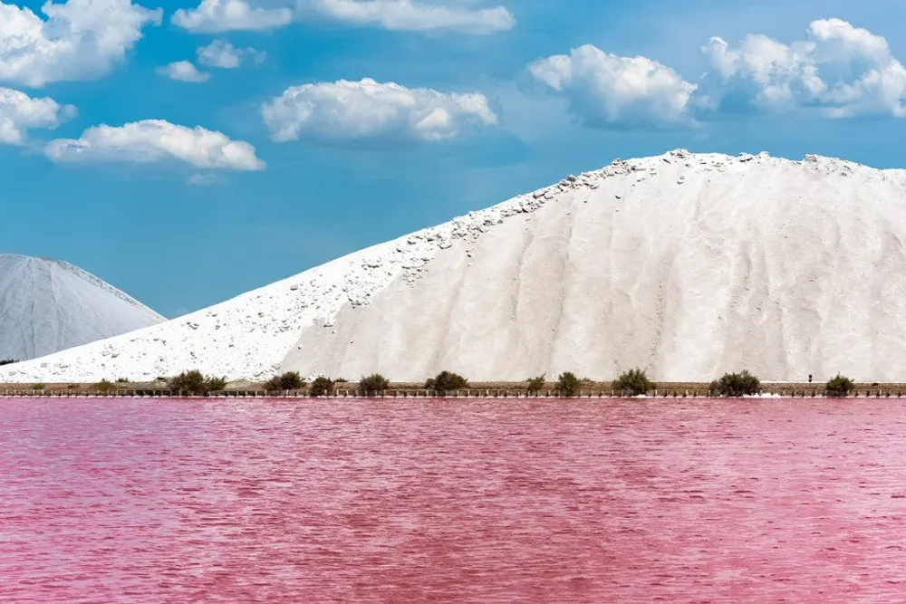 Le Sel de Camargue a désormais son IGP