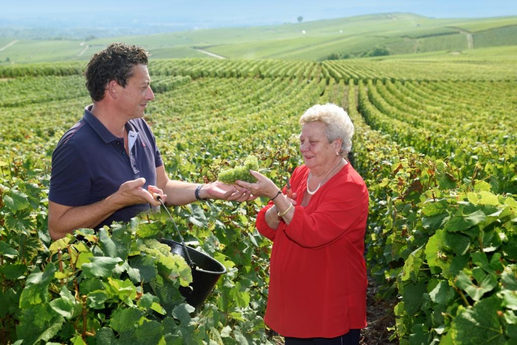 Winery Richard-Fliniaux – Champagne | Gault&Millau
