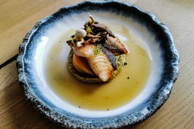 Saint-pierre, fenouil, champignons et bouillon safrané