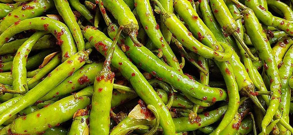 Picklesmania, the madness of acid cuisine