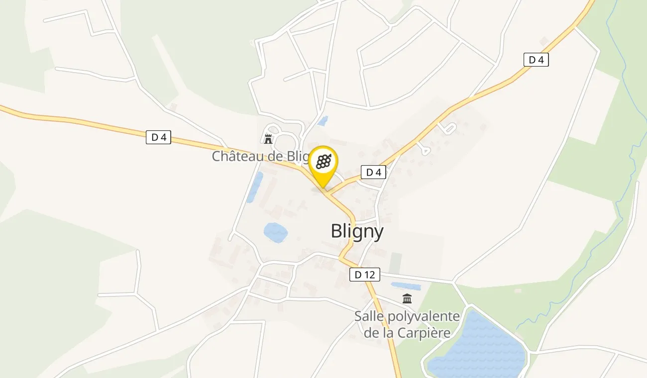 10 Rue du Château, 10200 Bligny, France