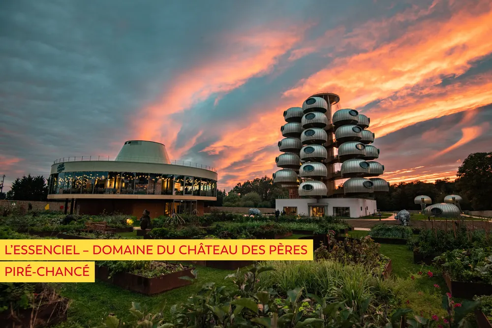 L'essenciel Château Des Pères © Gdr