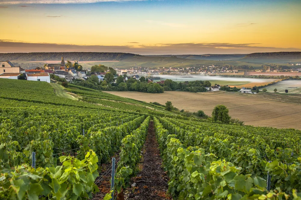 Where to Stay in Champagne? Our 10 Most Beautiful Hotels Between Reims and Épernay