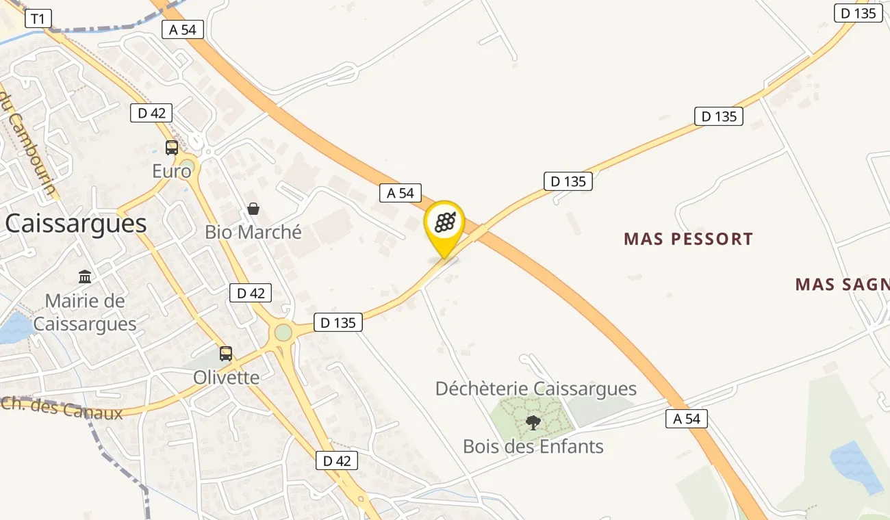 Chemin des Canaux, 30132 Caissargues, France