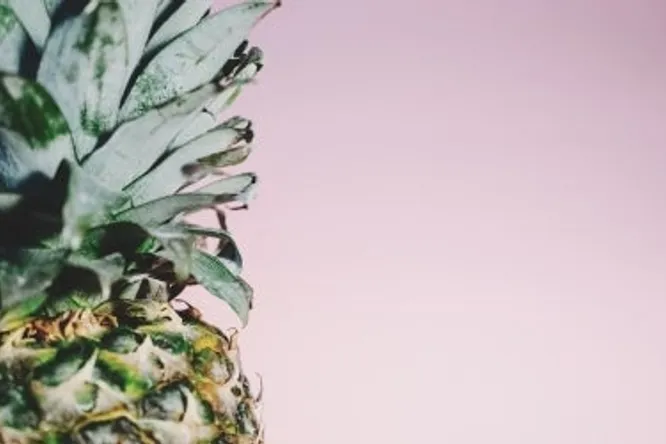 L'ananas, fruit exquis