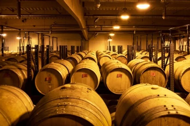 La grande percée des vins jaunes