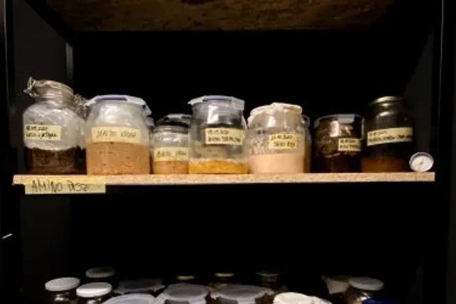 Hrvoje Kroflin, chef of Zagreb restaurant Mano2, creates wonders with fermentation