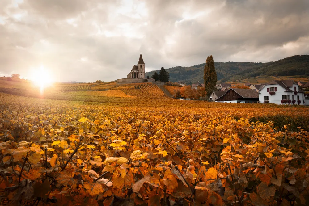Les vins rouges d'Alsace à moins de 20 € recommandés par Gault&Millau