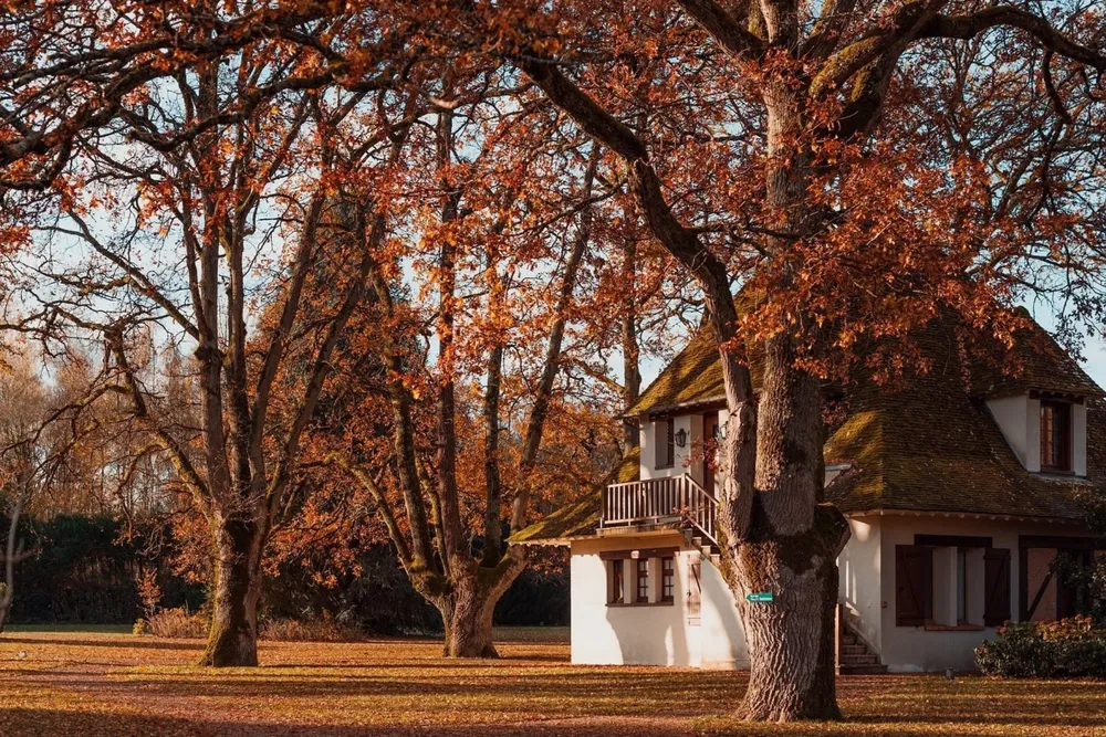 Auberge Des Templiers Automne