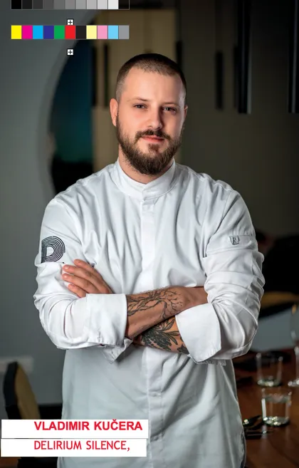 Vladimir KUČERA
