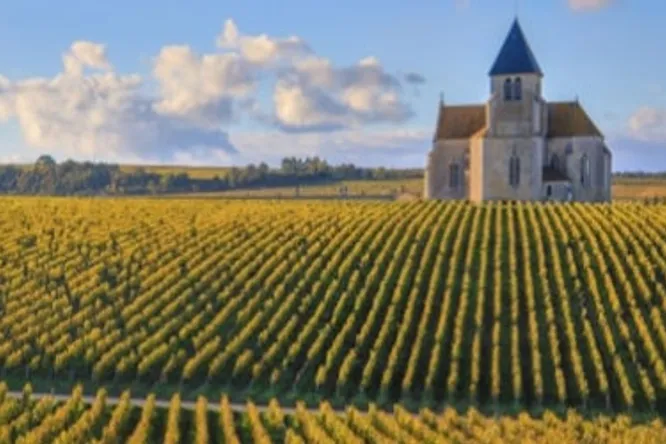 Vins d’été : 5 beaujolais