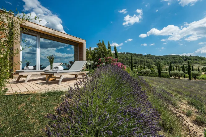 Charming hotels in Provence: 10 addresses among olive trees, bastides and lavender