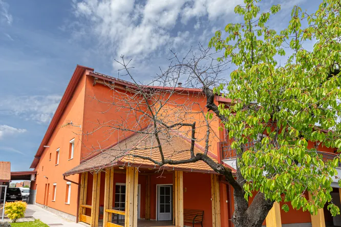 Adžić vina