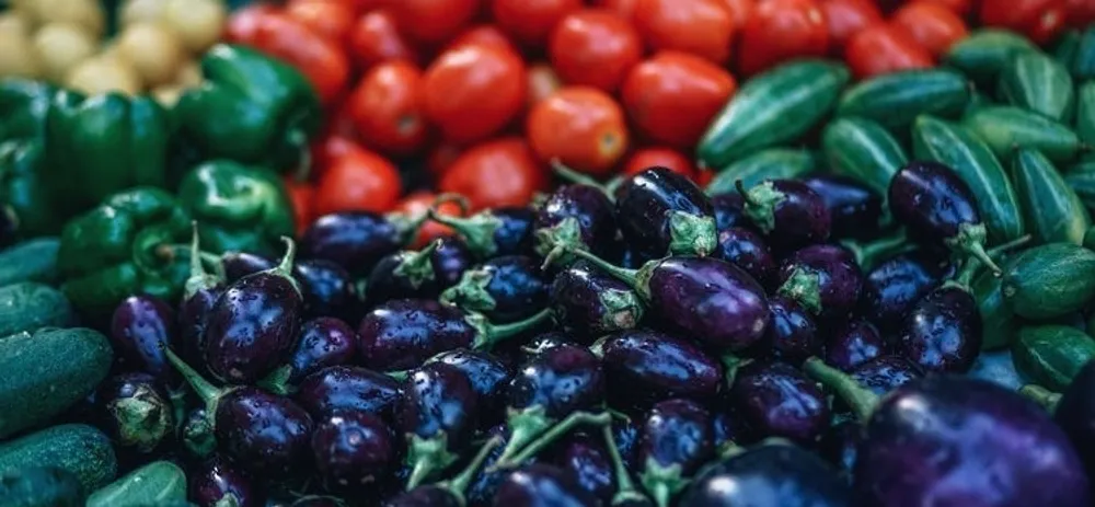 Seasonal foods in September