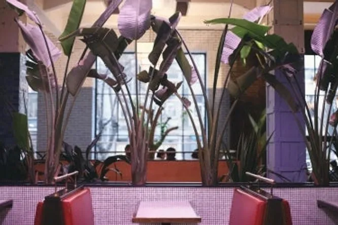 CAFE STAMBA