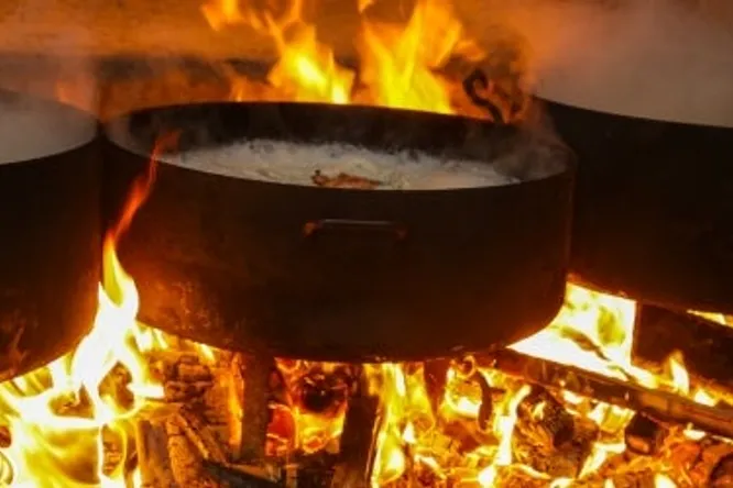 Tradicionalna hrvatska jela dio prvi: od Istre do Dalmacije