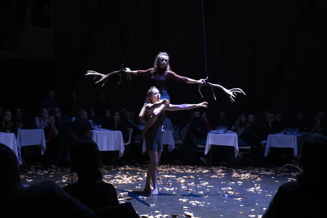 In Le Mans, France, this chef is going to organize lunches... in a circus!