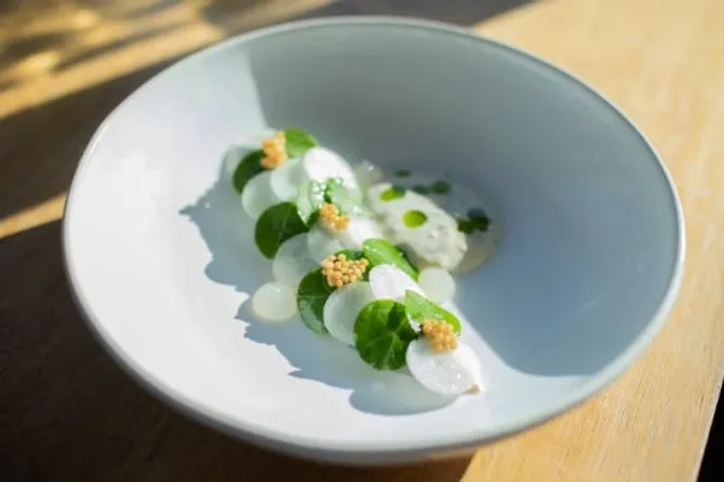 Mackerel au chalumeau, spinach & Breton radish flakes