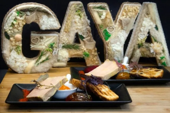 Gaya