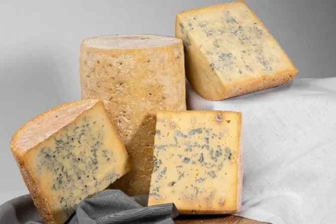 La Fourme de Montbrison, dégustation à l'Atelier du Goût