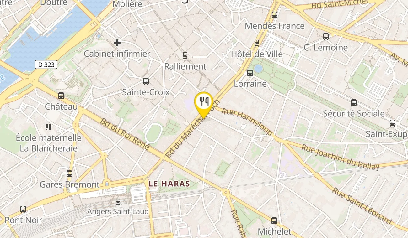 21 Boulevard du Maréchal Foch, 49100 Angers, France