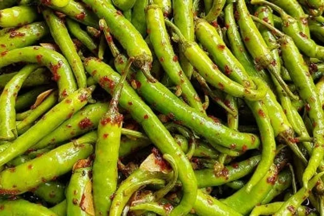 Picklesmania, the madness of acid cuisine