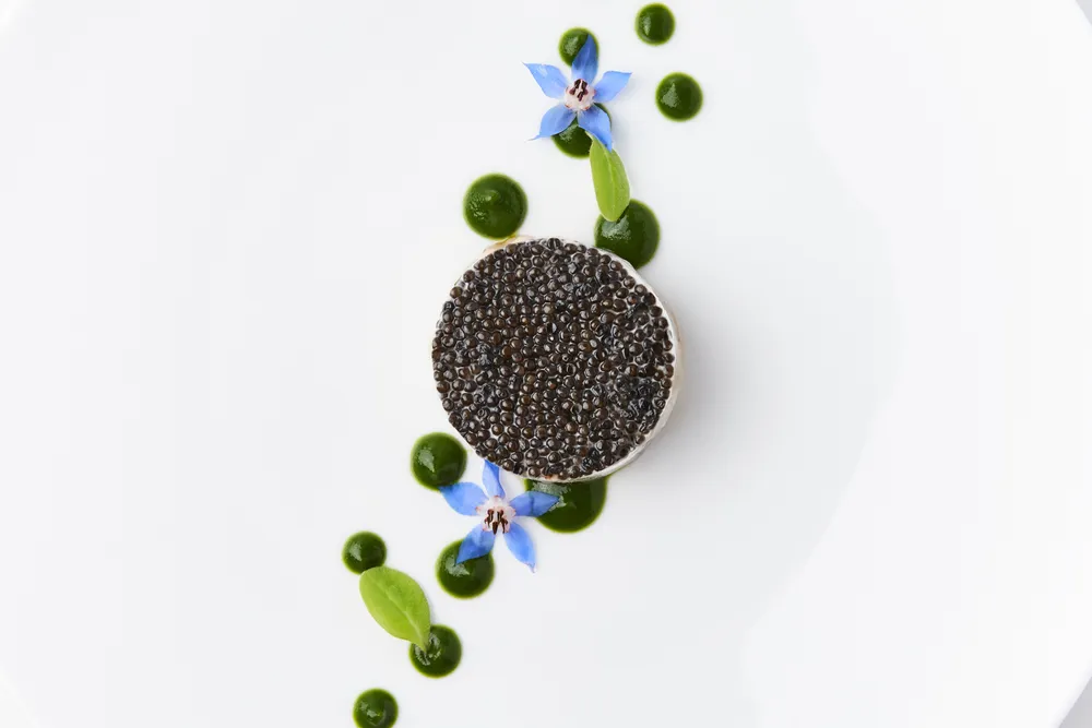 Loup&huîtres En Tartare Caviar De Sologne © Claes Bech Poulsen