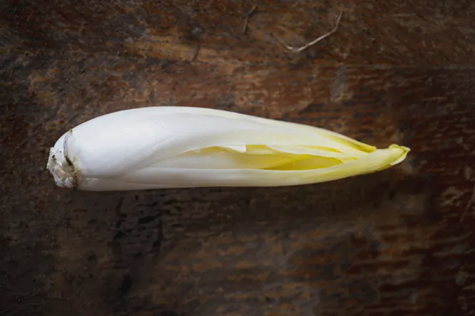 The secret under the soil: why Flanders is so proud of its chicory