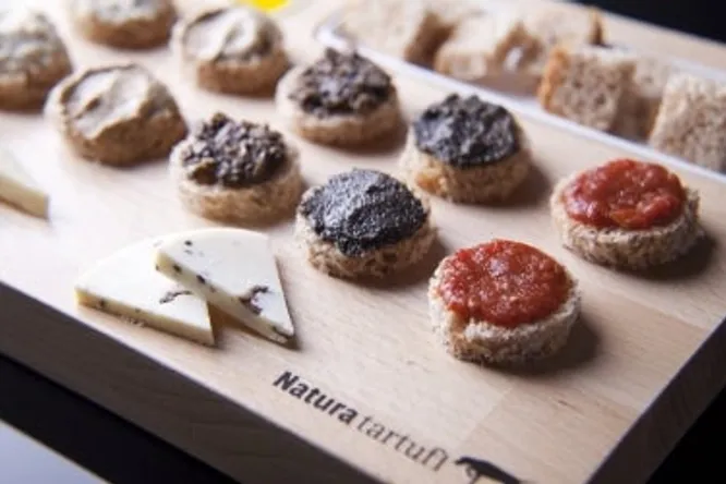 Istria keeps an expertly hidden secret – the majestic truffle