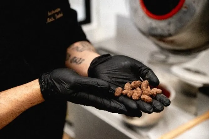 Authentique, an atypical chocolate and pastry shop
