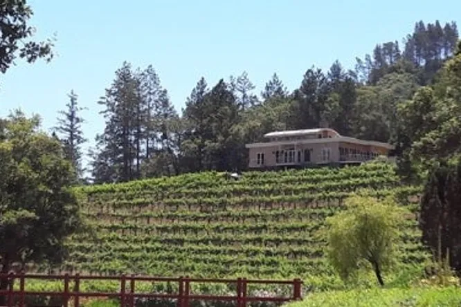Louis Roederer acquiert Diamond Creek Vineyards