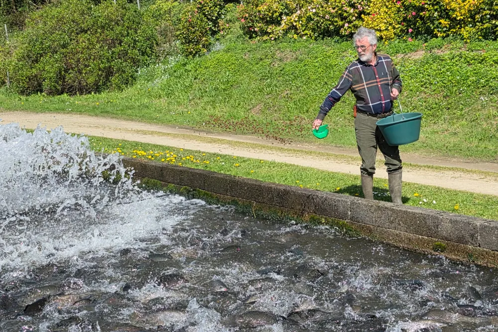 Cette pisciculture bretonne a trouvé l'héritier que tout le monde cherche
