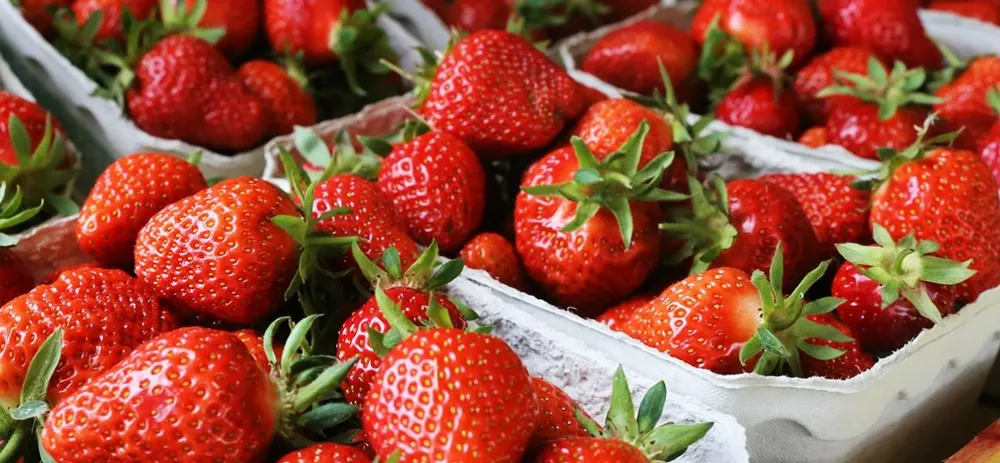 Is there still a season for strawberries?