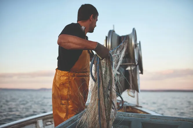 Terre & Mer by Sysco: 30 Years of Excellence for Chefs