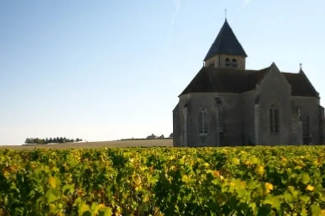 Vins d’été : 5 chablis