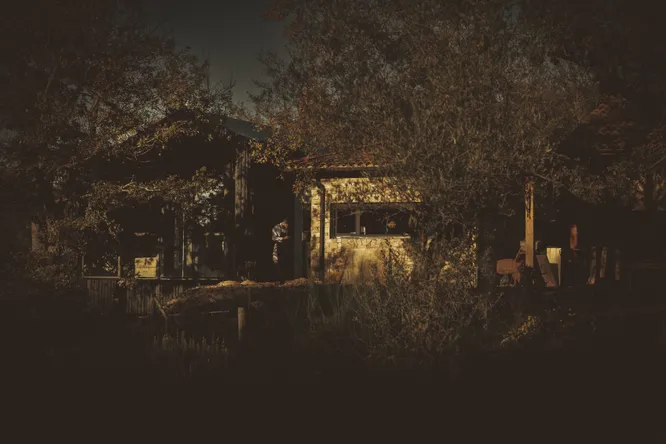 This restaurant like no other promises an extraordinary experience in the heart of the forest