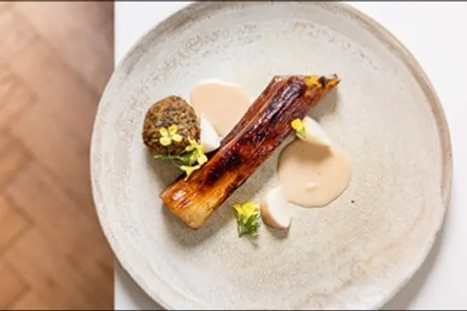 An encounter between art and taste