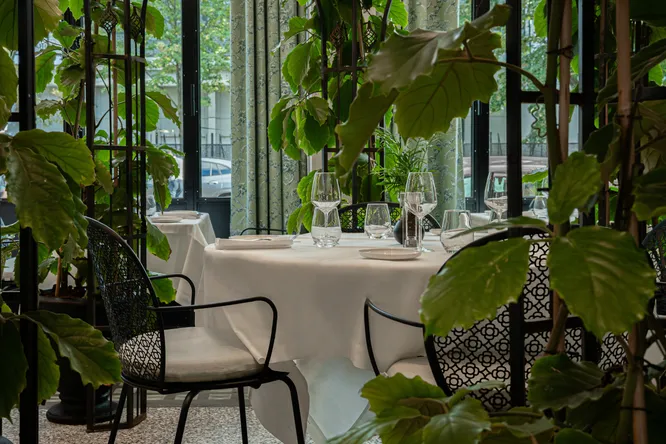 Molitor Paris dévoile son Jardin d’Hiver : une brasserie végétale et lumineuse pour l’automne 2025