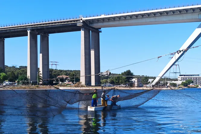 Un chef, un artisan : Ilane Tinchant et Jordan Ortiz, dernier producteur de poutargue à Martigues