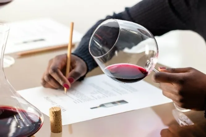 J’ai envie d’en savoir plus sur le vin, comment me former ?