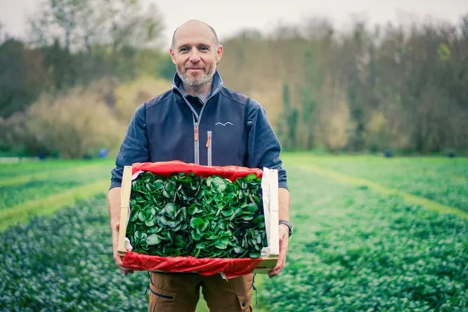 Mikaël Morizot, gardien du plus ancien cresson d’Essonne