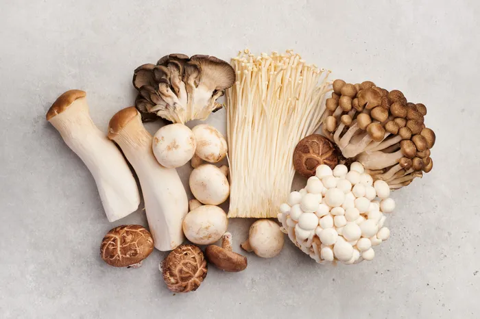 Les meilleures tables pour la saison des champignons