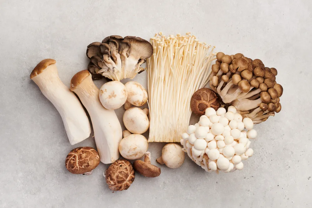 The Best Restaurants for Mushroom Season